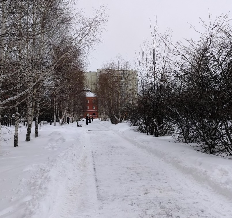 Сквер Выпускников Сквер Выпускников